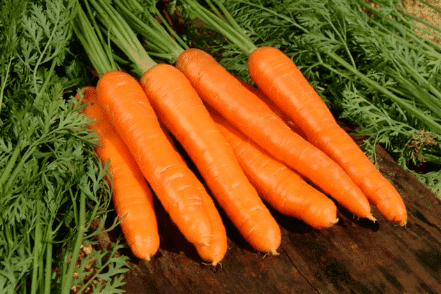 Τα καρότα είναι μια δημοφιλής λαϊκή θεραπεία που χρησιμοποιείται για τη θεραπεία της ανδρικής ισχύος. 