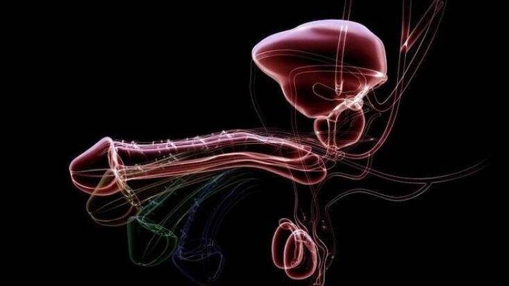 Γιατί οι άντρες έχουν εκκρίσεις όταν είναι ενθουσιασμένοι και είναι φυσιολογικό